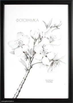 Фоторамка 13x18 / 1503-014 /уп10,ф