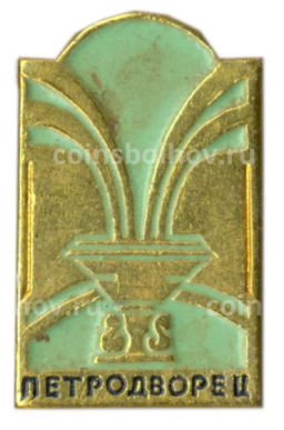 Значок Петродворец