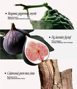 Гель для душа с адаптогенами и магнием НОВИНКА