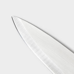 Нож кухонный Доляна «Инканто», лезвие 12 см, белый