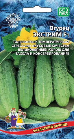 Огурец ЭКСТРИМ F1 Толерантен к температурным стрессам! Вкусовые качества великолепные! Хорош для засола и консервирования!
