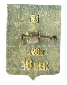 Значок Моршанск