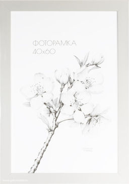 Фоторамка 40х60 /2900A-012AL/,ф