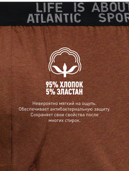 ATLANTIC 3MH-226 Трусы шорты Melange - набор 3 шт. темно-серый меланж + медно-багряный меланж + коричневый меланж  фото 6