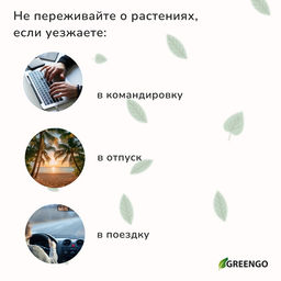 Автополив для комнатных растений под бутылку, h=10.5 см, набор 2 шт., Greengo  фото 4