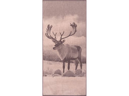 Полотенце махровое 6с102.411ж1 Фото-олень(т.с.мальв1) 67х150см