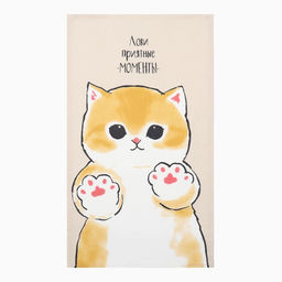 Набор кухонных полотенец «Доляна» Happy Spring, 35×60 см-2 шт., 100% хлопок