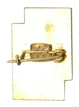 Значок В.С. Стефаник