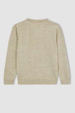 Трикотажный свитер обычного кроя с круглым вырезом для мальчика - Defacto фото 9