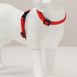 Комплект для кошек, ширина 1 см, ОШ 16,5-27 см, ОГ 21-35 см, поводок 120 см, красный - Пижон фото 2