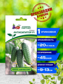 Огурец партенокарпический Антисипатор