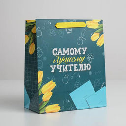 Пакет ламинированный вертикальный Самому Лучшему Учителю, ML 27 23 11,5 см