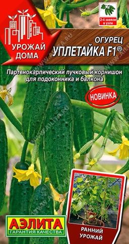 Огурец Уплетайка F1 --- ® Парт Урожай дома