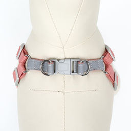Комплект Sport+, XS, поводок 120 x 1,5 см, ОШ 37-39 см, ОГ 41-46 см, вес животного 4-6 кг, розовый - Пижон фото 5