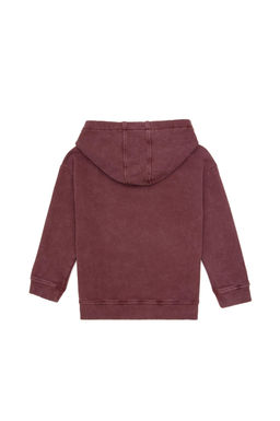 Erkek _ocuk Bordo Kap__onlu Sweatshirt - U.s. polo assn фото 2