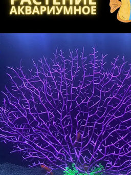 Растение Алиса К 409 Куст-неон фиолет 30*25см