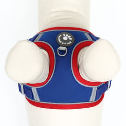 Комплект Sport+, S, поводок 150 x 1,5 см, ОШ 39-41 см, ОГ 44-48 см, вес животного 7-13 кг, синий 96 - Пижон фото 8