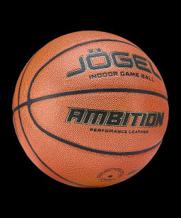 Мяч баскетбольный JOGEL Ambition №7  фото 2