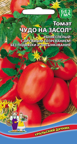 Томат ЧУДО НА ЗАСОЛ Раннеспелый! С дружным созреванием! Без подвязки и пасынкования!