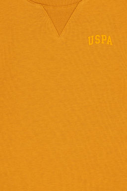 Базовый свитшот горчичного цвета для мальчика Неожиданная скидка в корзине - U.s. polo assn фото 3