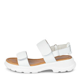 66b1677f6e3819a192fc6c5f4d083e78894u1d3o1llpdm2f3