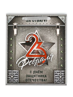 Цена за 2 шт. Пакет подарочный ламинированный 23 февраля, M 25.5?30?9 см