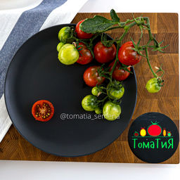 Фиолетовый Джаспер - Tomatia фото 2