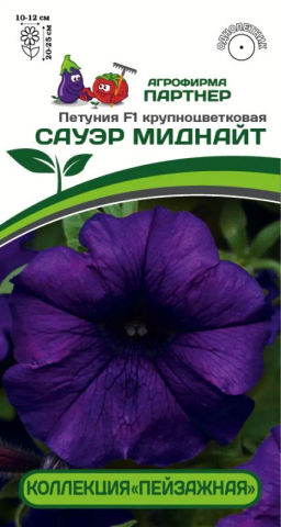 Петуния Сауэр Миднайт кустовая крупноцветковая