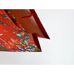 Набор новогодних пакетов «С Новым годом!»