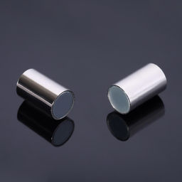 Цена за 2 шт. Замок-концевик магнитный, 5 шт. L=20 мм, внутренний d=6 мм, цвет серебро