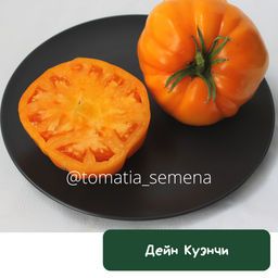 Дейн Куэнчи - Tomatia фото 2