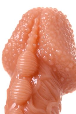 Насадка KOKOS с дополнительной стимуляцией , реалистичная,TPE, телесный, 14.7 см