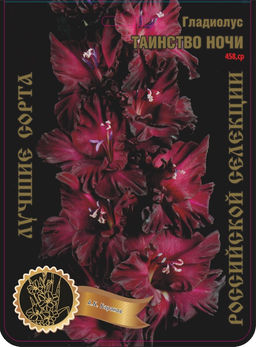 Гладиолус Таинство Ночи 458,Баранов 2 р-р 7шт (Ф) Гладиолус Таинство Ночи 458,Баранов 2 р-р 7шт (Ф)