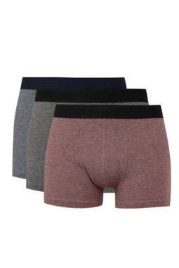 Cizgili 3lu Boxer