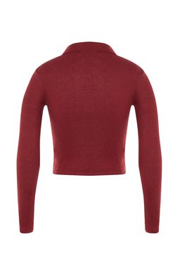 Trendyolmilla Indigo Dugme Detayl? Vucuda Oturan Crop Polo Yaka Fitilli Esnek Orme Bluz TWOAW22BZ0522