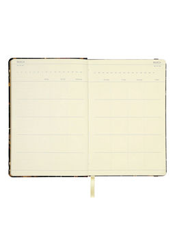 Еженедельник недатированный Bruno Visconti «Воробей», А5, на резинке