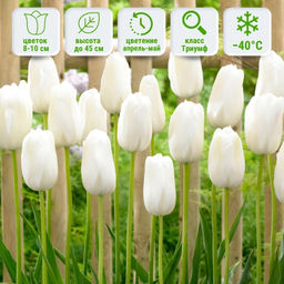 6704f6bb52102f9950f81630d85758f0ecuw71ca95mfgilt5v