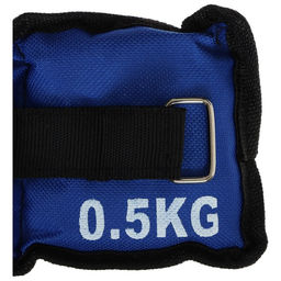 Утяжелители ONLYTOP, 2 шт. × 0.5 кг, цвет синий