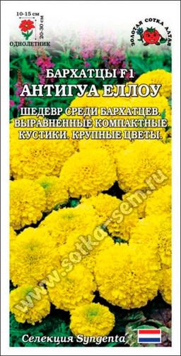 Бархатцы Антигуа Еллоу F1 5шт. (Золотая сотка Алтая)