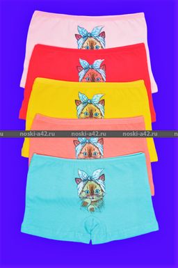 Цена за 5 шт. Трусы для девочек Турция арт. 179347 (116426, 179392, 179949) шортиками 4 (6-7 лет) - For you фото 2