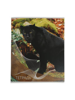 Набор тетрадей, 96 листов в линейку, Calligrata «Дикие кошки», серые листы, 4 штуки