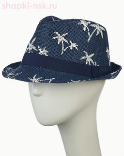 23804 Шляпа мужская (58)