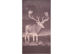 Полотенце махровое 6с102.413ж1 Фото-олень(т.с.мальв1) 81х160см