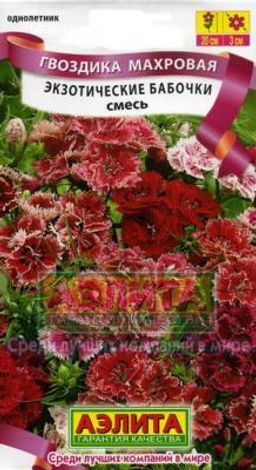 Гвоздика Экзотические бабочки, смесь 0,1г (Аэлита)