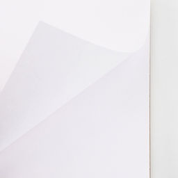 Скетчбук А5, 80 листов,твердая обложка, «Енот».