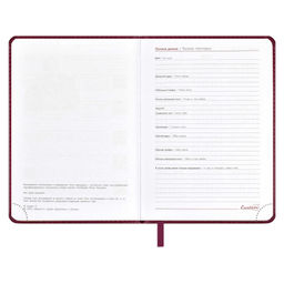 Ежедневник датированный 2024 ESCALADA, А6+, 176 л., арт. 63788/ 20 САРИФ БОРДОВЫЙ  фото 5