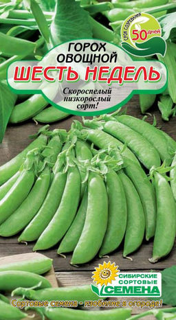 Шесть недель горох 5 гр (ссс)