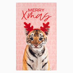 Прихватка с подставкой под горячее и формой для выпечки Merry Xmas