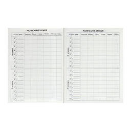 Дневник для 5-11 классов, Розовый с блестками, твердая обложка 7БЦ, глянцевая ламинация, 48 листов - Calligrata фото 7