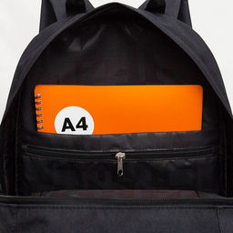 RQL-518-1 Рюкзак - Grizzly фото 33